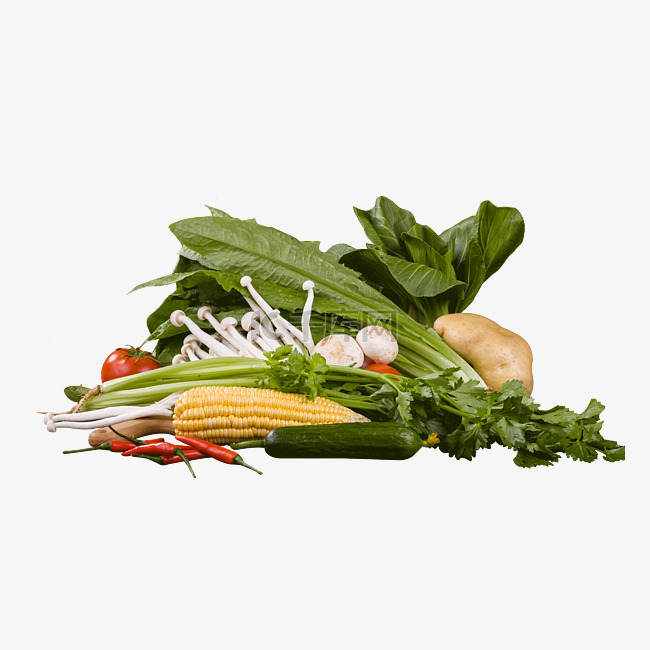蔬菜青菜玉米实物