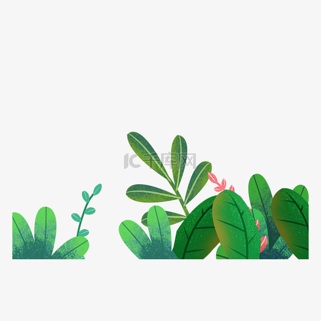 春季植物手绘插画