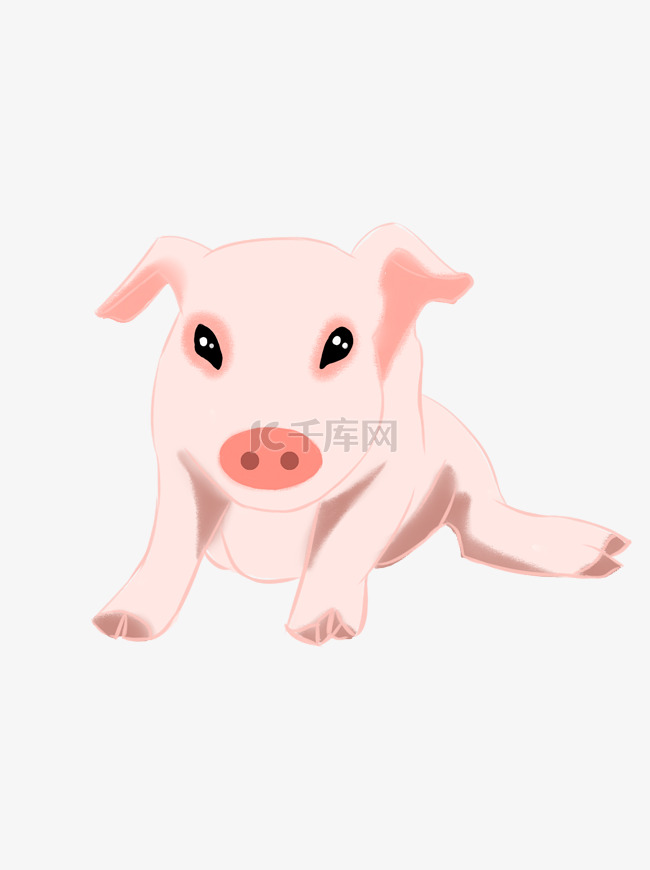 小猪卡通仿真可爱动物手绘