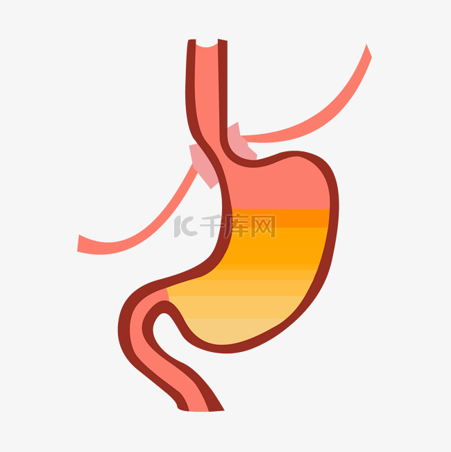 扁平手绘人体器官胃矢量免抠素材