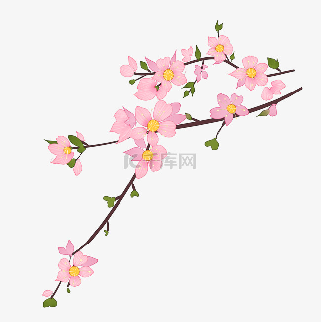 粉色樱花装饰插画