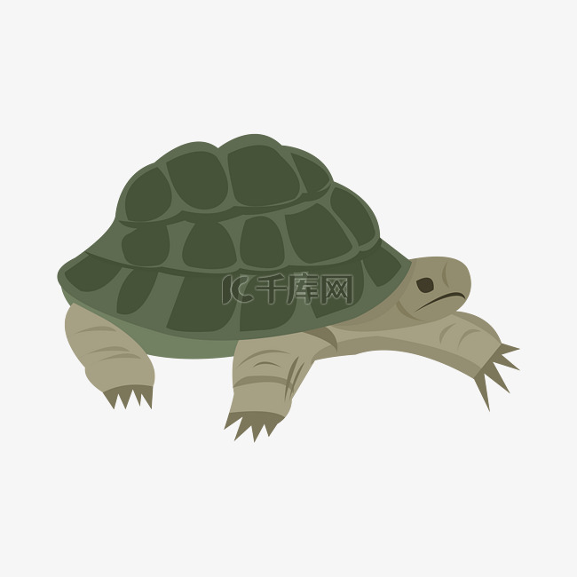 手绘爬动的乌龟插画