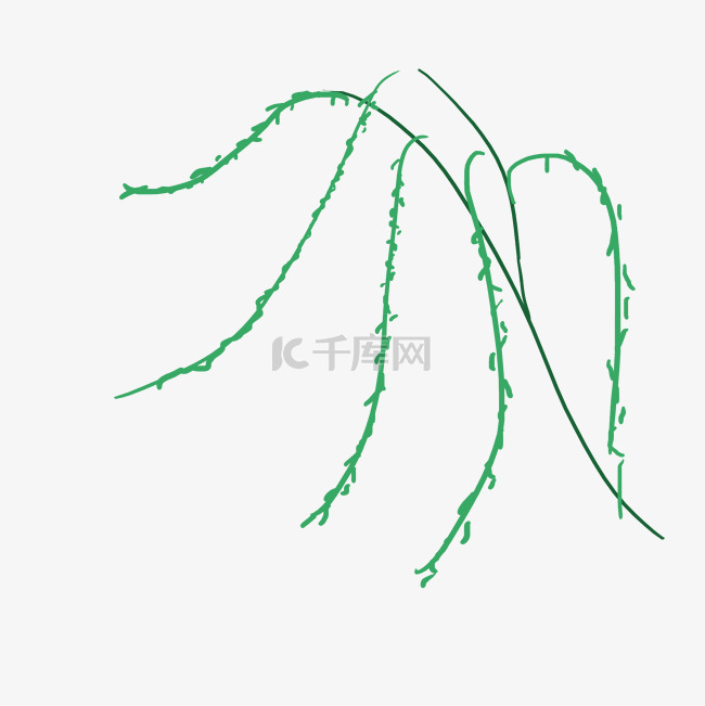 手绘春天植物插图柳枝柳条与树叶