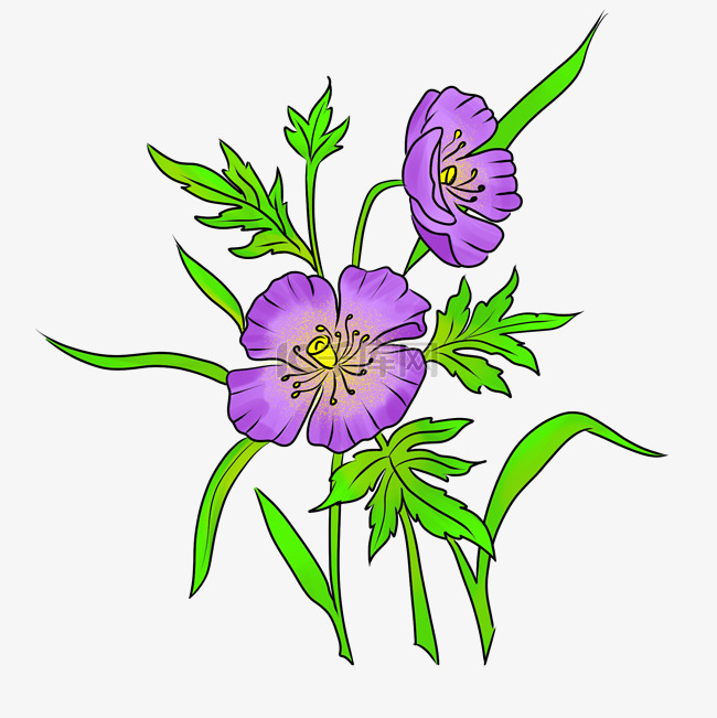 手绘紫色花儿