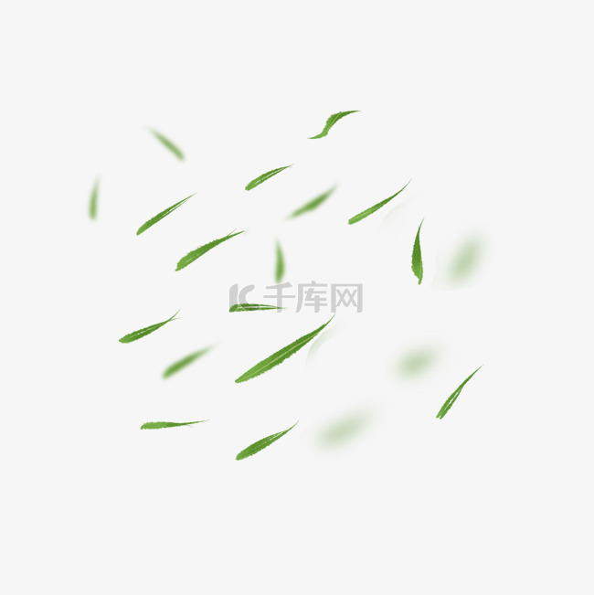 清明节漂浮绿色柳叶