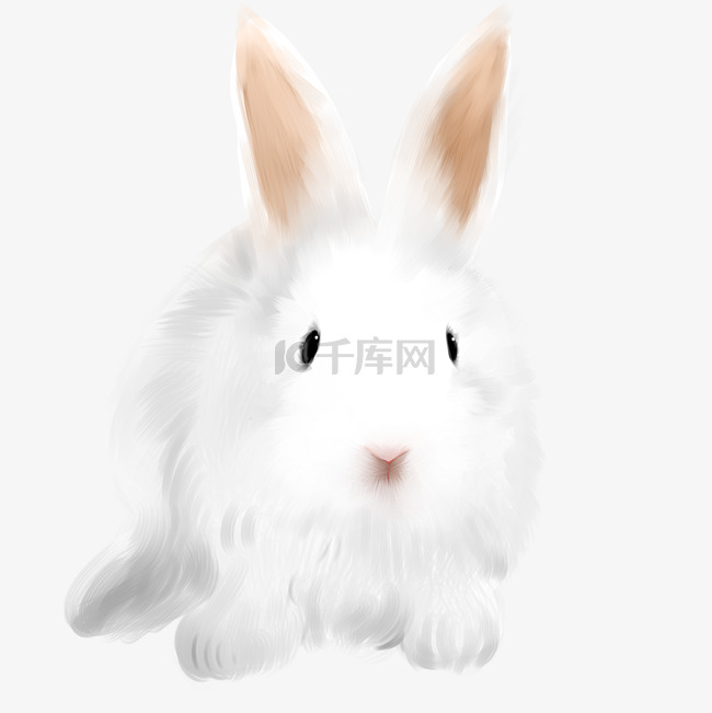 卡通白色小兔子插画