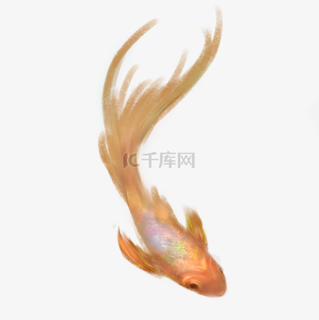 中国水墨风格国画金鱼小鱼红色
