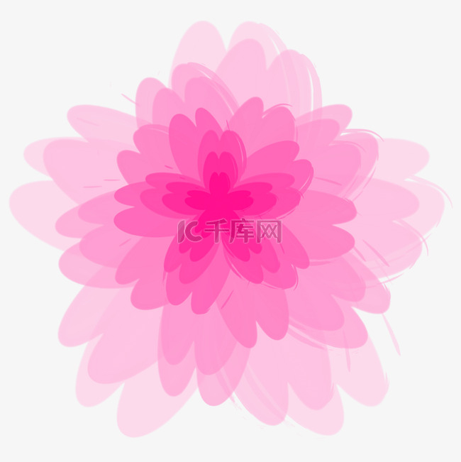  粉色花朵 