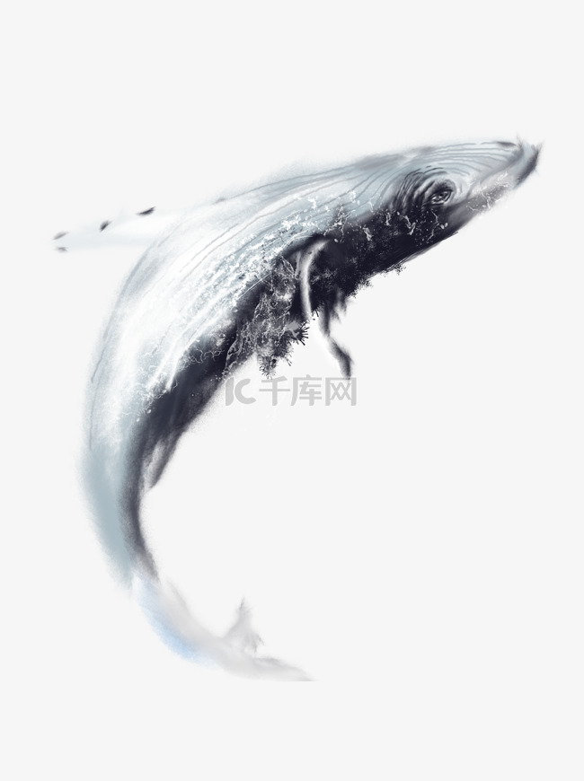 灵气黑灰色鲸鱼装饰元素