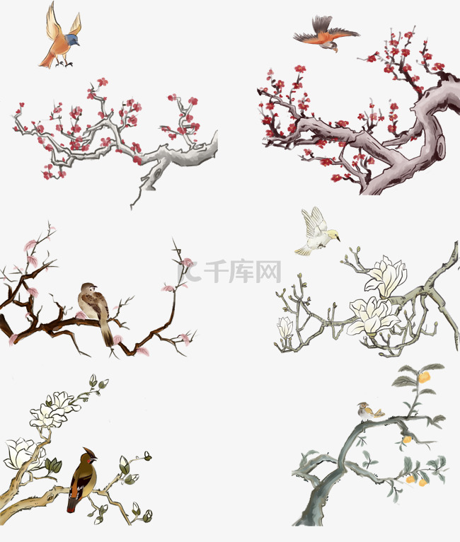 中国风古典手绘花鸟矢量图
