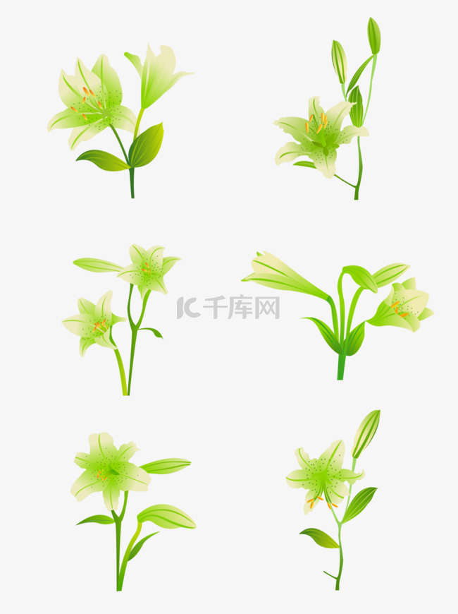 手绘百合花元素套图之小清新卡通