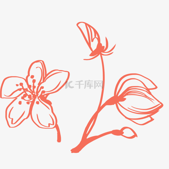 矢量线描桃花花枝花瓣素材