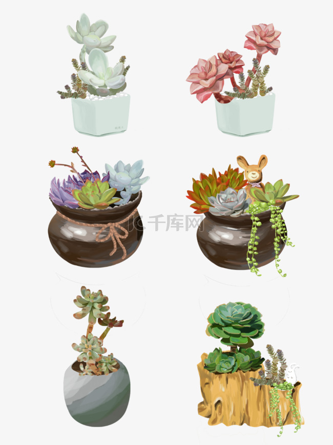 手绘清新多肉植物插画设计合集绿