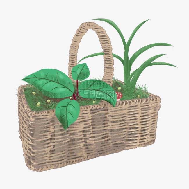 竹篮子里面养着绿色的植物