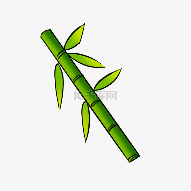 带叶子的绿色竹子粗壮的竹子