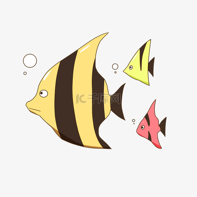 三条热带鱼生物插图