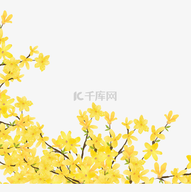 金黄色手绘植物迎春花