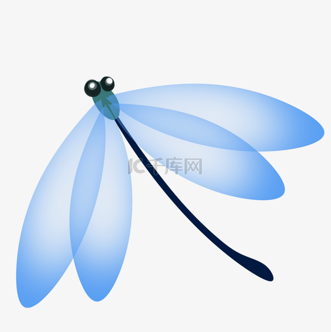 飞虫动物蓝色蜻蜓