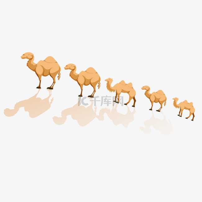 灰色沙漠骆驼驼队插画