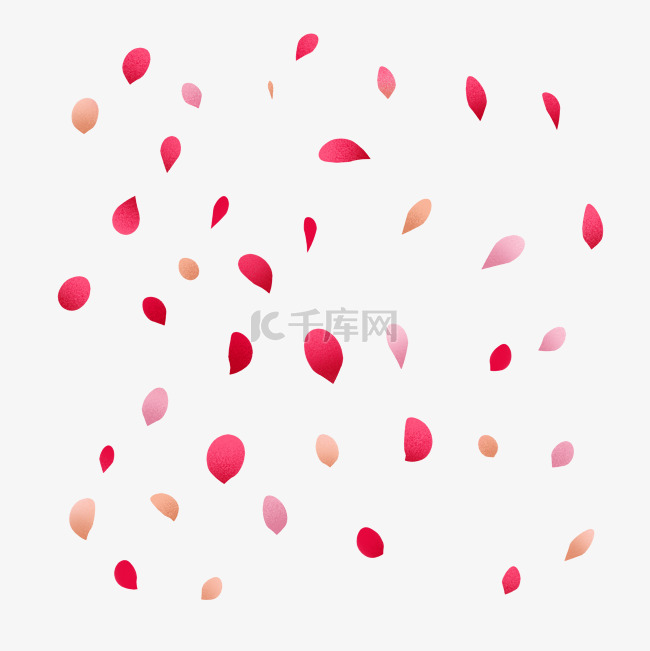 粉色红色花瓣飘零