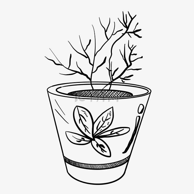 线描盆栽植物插图