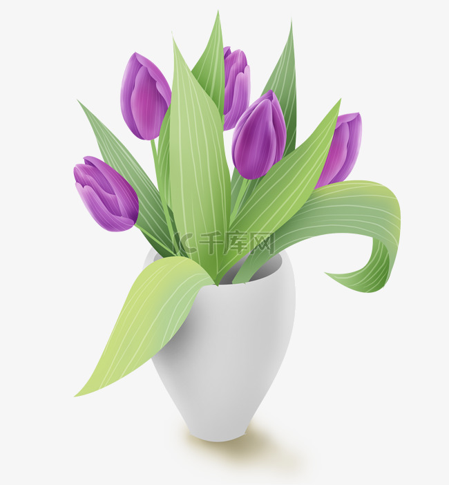 紫色郁金香和花瓶