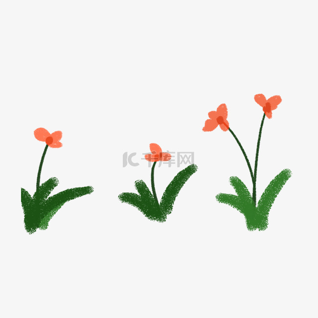 植物花朵图案