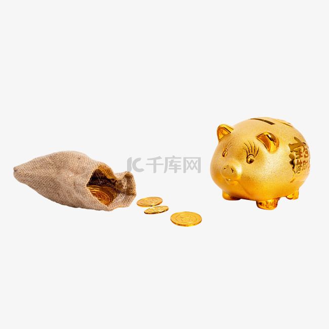 钱袋子金币金猪储蓄