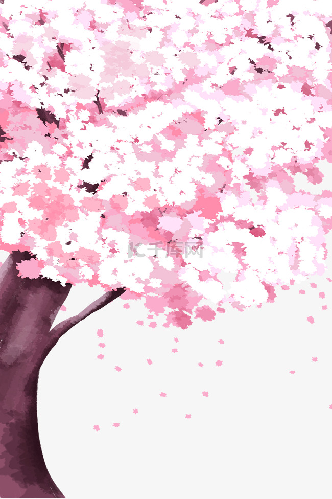 春季植物樱花树樱花瓣