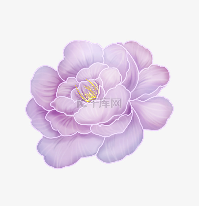 手绘立体紫色花朵插图