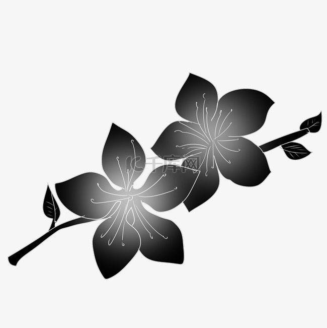 黑色桃花花朵插图