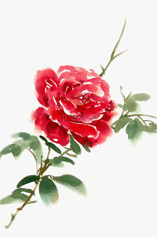 水彩花卉红色玫瑰花