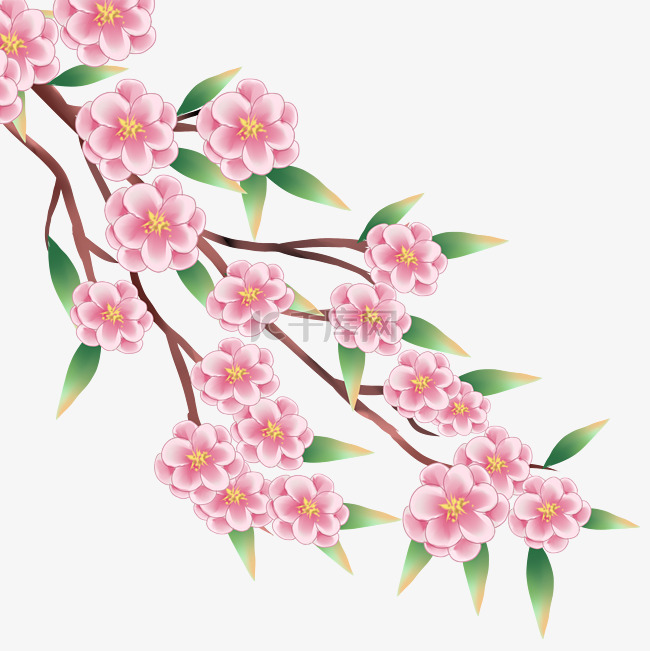 粉红色桃花树枝