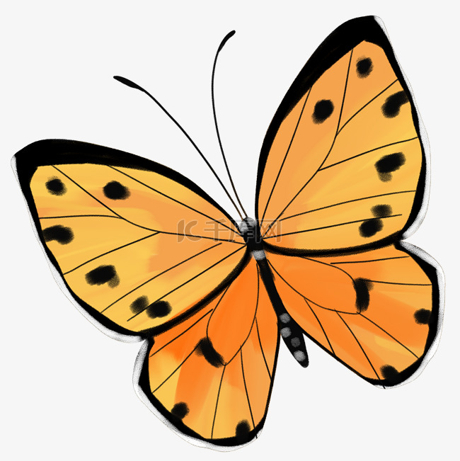 展翅的黄色蝴蝶插画