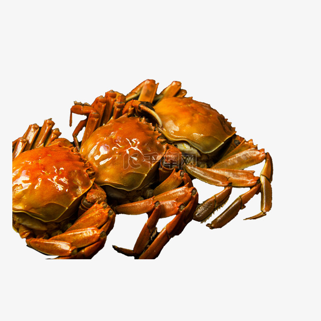 中国风餐饮美食三只大闸蟹