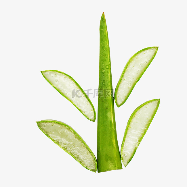 绿色植物芦荟