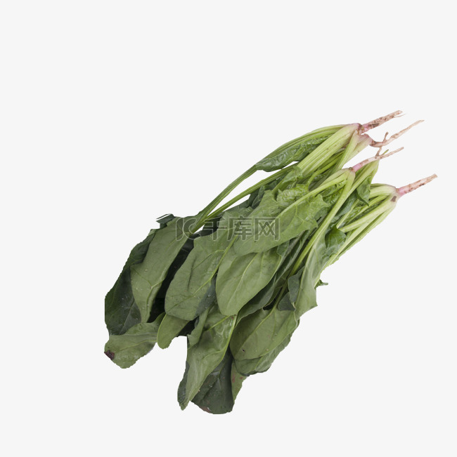 绿色菠菜食物
