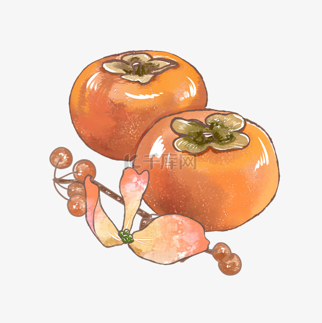 柿子水彩