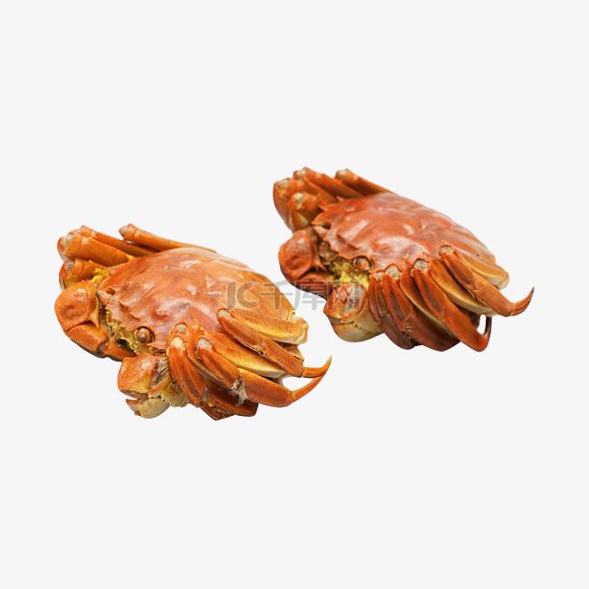 煮熟食物螃蟹大闸蟹