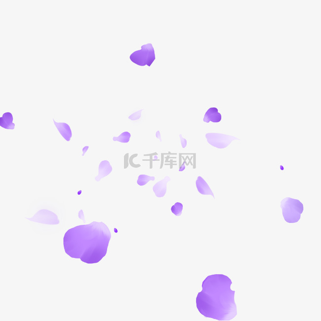 唯美紫色花瓣飘落