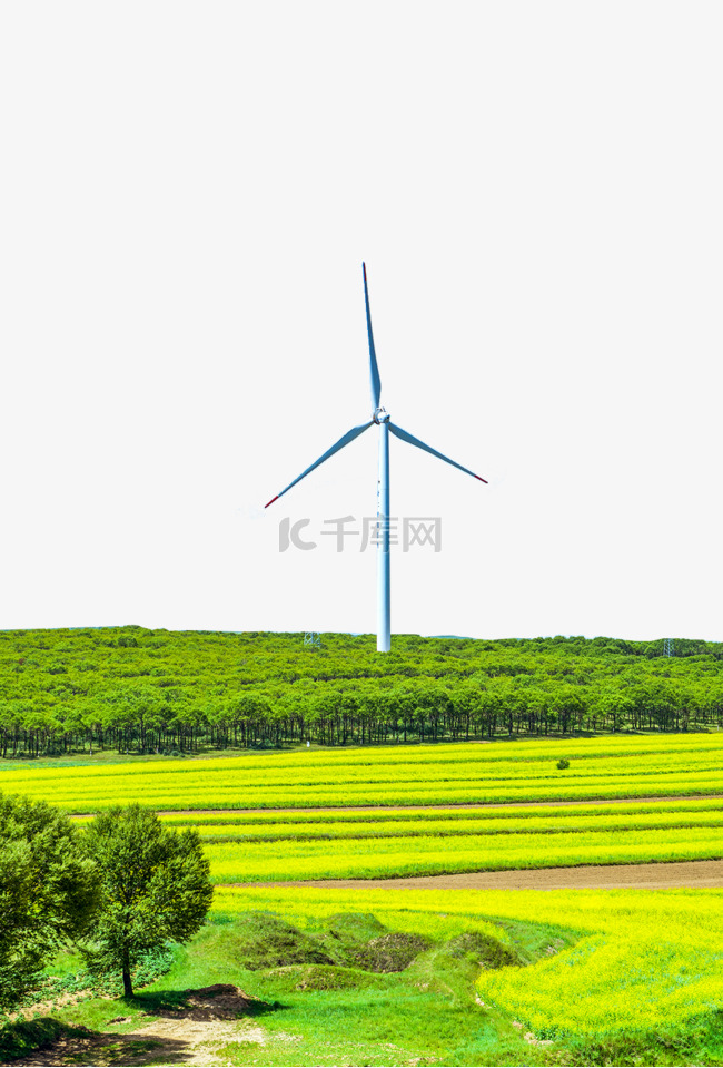 山西朔州田野景观