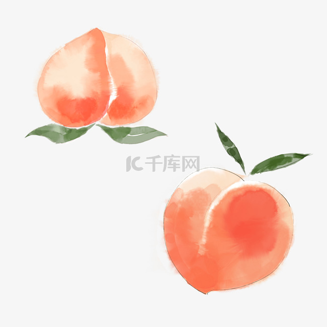 手绘风水彩桃子水蜜桃