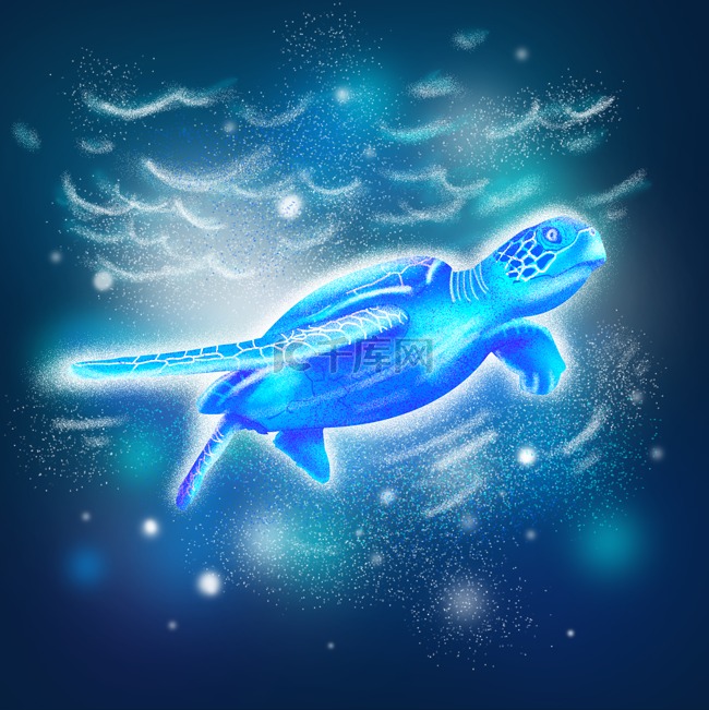 梦幻海洋生物海龟