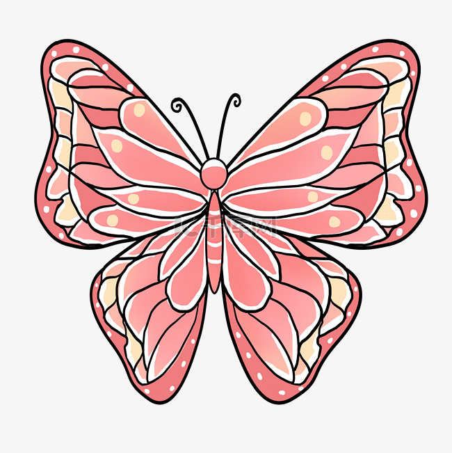 粉色飞行的蝴蝶插图