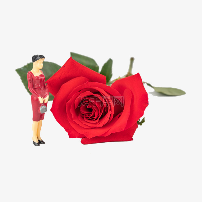 微距拍摄红玫瑰和女人