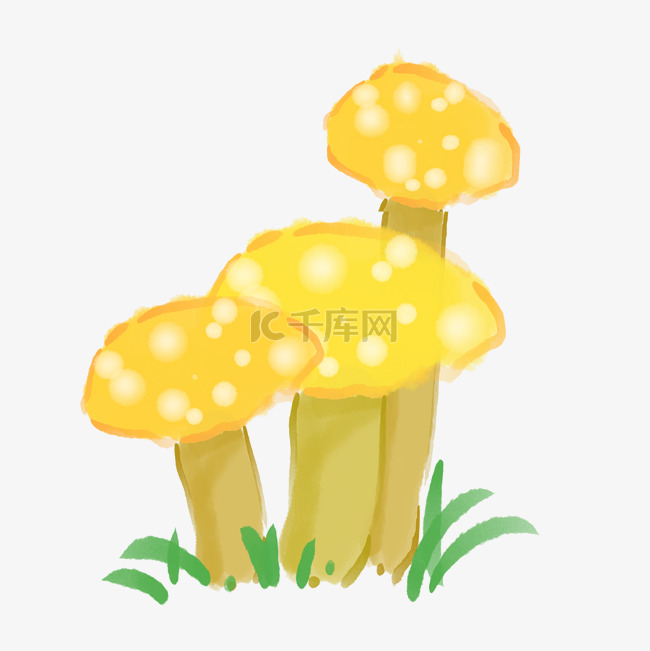 黄色田间蘑菇