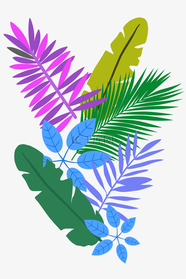 热带植物彩色叶子