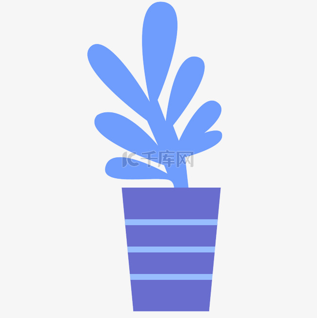 蓝色花朵盆栽
