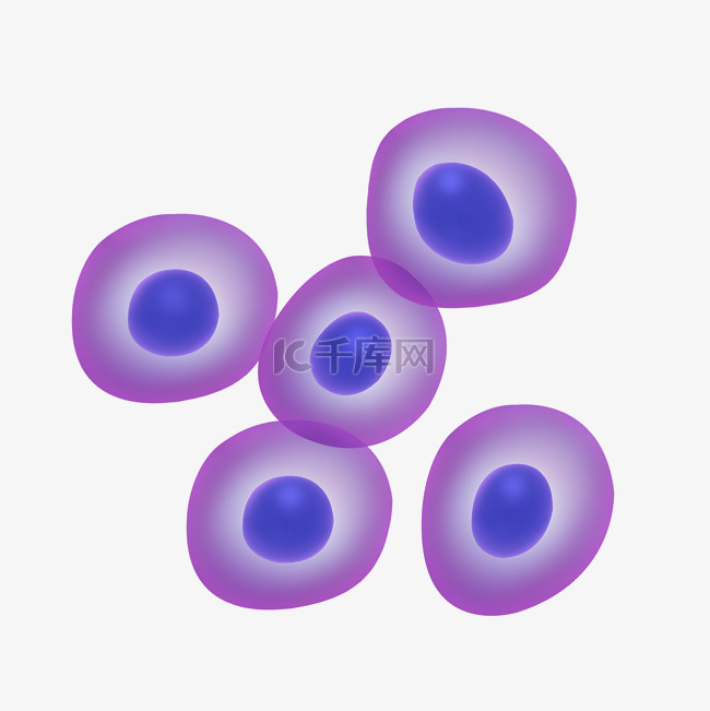生物细胞宫内膜干细胞紫色
