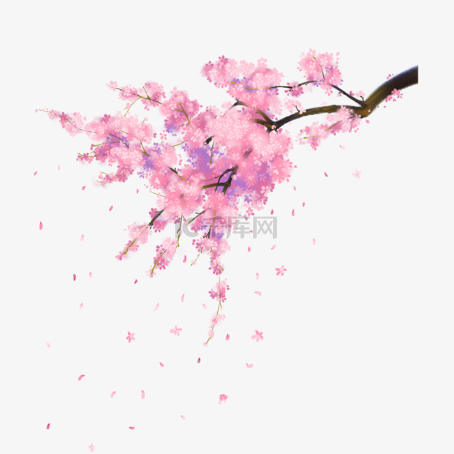 水墨画唯美盛开的樱花樱花树树枝